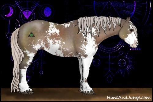 Horse Color:Silver Black Sabino 