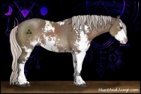 Horse Color:Silver Black Sabino