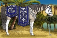 Horse Color:Bay Roan Dun Splash Appaloosa Rabicano