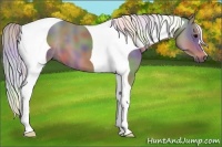 Horse Color:Nacre Watercolor Silver Black Tobiano 