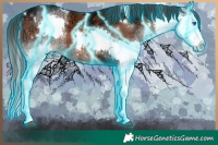 Horse Color:Thunderstruck White Spotted Brown Ice Sabino Splash