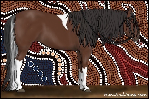 Horse Color:Bay Tobiano 