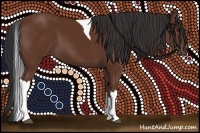 Horse Color:Bay Tobiano 