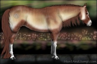 Horse Color:Chocolate Bay Onyx  Brindle