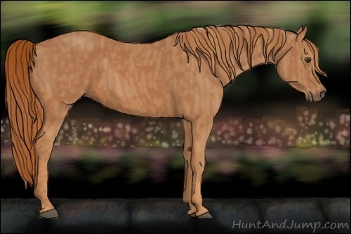 Horse Color:Chestnut Brindle