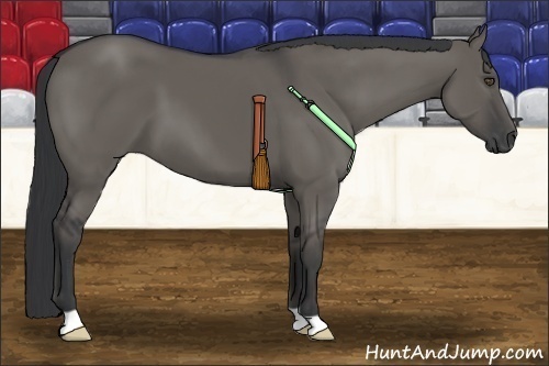 Horse Color:Grullo 