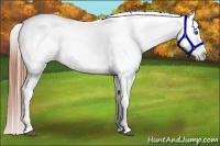 Horse Color:White Spotted Blue Roan Splash Frame Varnish 