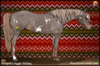 Horse Color:White Spotted Liver Chestnut Varnish 