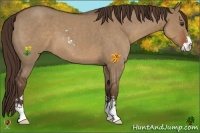 Horse Color:Liver Red Dun Roan Sabino