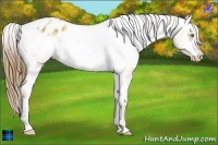 Horse Color:Plaid  Amber Champagne Ice Varnish 