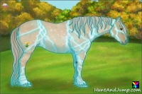 Horse Color:Thunderstruck Palomino Dun