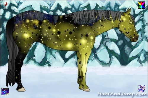 Horse Color:ERROR: UNKNOWN ANOMALY