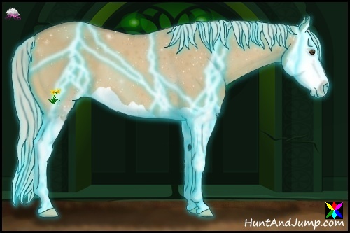 Horse Color:Thunderstruck Palomino Dun Splash 