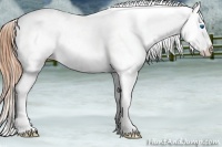Horse Color:Black Splash Varnish 