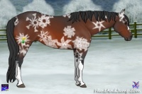 Horse Color:Bay Ice 