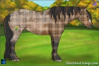 Horse Color:Plaid  Bay Ice 