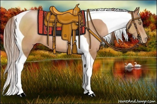 Horse Color:Bay Pearl Tobiano 