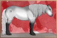 Horse Color:Silver Bay Chinchilla