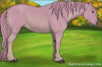 Horse Color:Watercolor Chestnut 