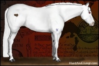 Horse Color:Silver Black Chinchilla Splash Varnish