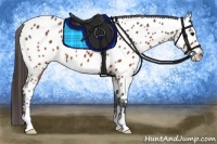 Horse Color:Brown Near Leopard 