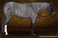 Horse Color:Liver Red Ice Roan