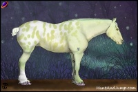 Horse Color:Watercolor Silver Sable Champagne Tobiano Blanket