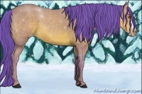 Horse Color:Watercolor Sable Champagne 
