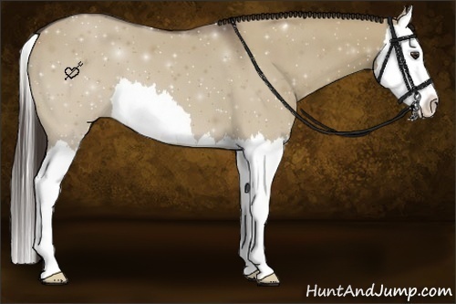 Horse Color:Liver Red Dun Splash 
