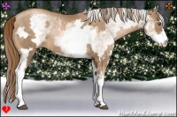 Horse Color:White Spotted Liver Chestnut Pearl Frame Rabicano Brindle