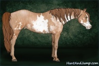 Horse Color:White Spotted Brown Pearl Frame Rabicano Brindle