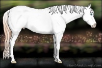 Horse Color:White Spotted Buckskin Pearl Frame Appaloosa Rabicano  Brindle