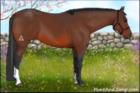 Horse Color:Bay Tobiano