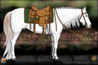 Horse Color:White Spotted Brown Pearl Appaloosa Rabicano  Brindle
