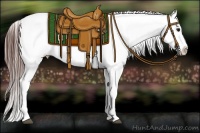 Horse Color:White Spotted Brown Frame Appaloosa Rabicano  Brindle