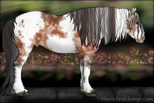 Horse Color:White Spotted Brown Frame Varnish Rabicano Brindle