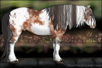 Horse Color:White Spotted Brown Frame Varnish Rabicano  Brindle