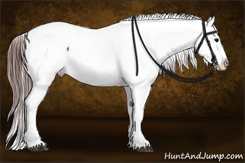 Horse Color:White Spotted Brown Tobiano Appaloosa Rabicano  Brindle