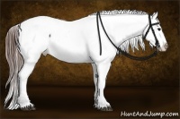 Horse Color:White Spotted Brown Tobiano Snowcap Rabicano  Brindle