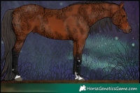 Horse Color:Bay Ice