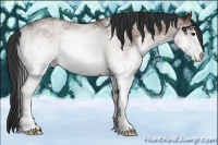 Horse Color:White Spotted Bay Rabicano