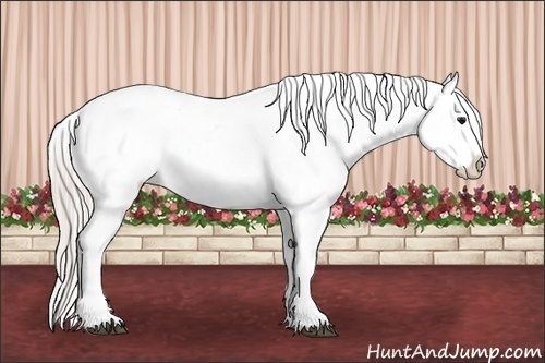 Horse Color:White Spotted Silver Brown Frame Snowcap Rabicano  Brindle