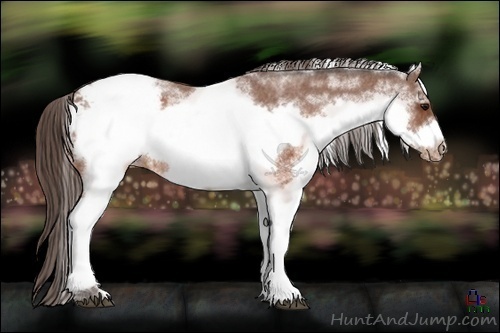 Horse Color:White Spotted Brown Frame Appaloosa Rabicano Brindle