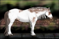 Horse Color:White Spotted Brown Frame Snowcap Rabicano Brindle