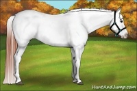 Horse Color:White Spotted Brown Frame Snowcap Rabicano Brindle