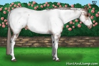 Horse Color:White Spotted Brown Frame Appaloosa Rabicano Brindle