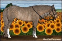 Horse Color:Chocolate Palomino Rabicano