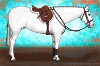 Horse Color:White Spotted Brown Frame Appaloosa Rabicano Brindle