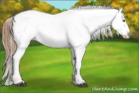 Horse Color:Chestnut Varnish