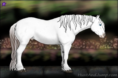 Horse Color:White Spotted Brown Frame Appaloosa Rabicano  Brindle
